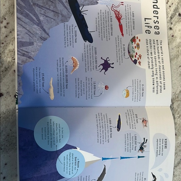 Born 1,000 Things in Nature Book - Colorful Edition - Picture 7 of 7